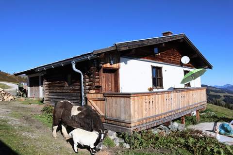 Almhütte Gipfelblick - Ferienunterkunft in Mittersill (9 Personen)