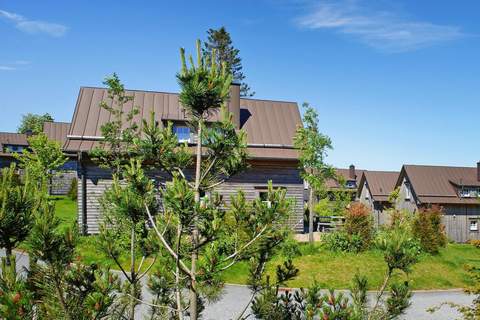 Ferienhaus Typ Premium Lodge Plus 4 Personen - Ferienunterkunft in Torfhaus (4 Personen)