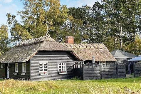 Ferienhaus in Rødby (6 Personen)