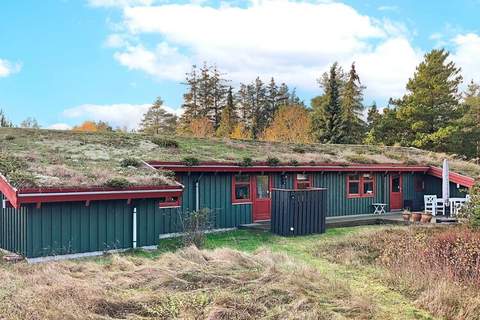 Ferienhaus in Jerup (8 Personen)