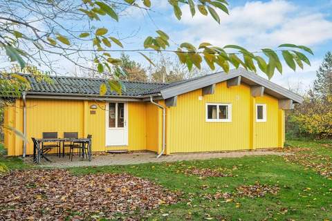 Ferienunterkunft in Skjern (4 Personen)