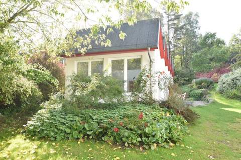 Ostseeblick Kühlungsborn mit Terrasse und Garten - Ferienunterkunft in Kühlungsborn (4 Personen)
