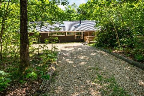 Ferienhaus in Ansager (5 Personen)