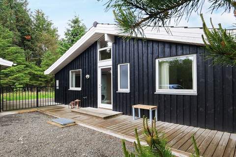 Ferienunterkunft in Ålbæk (8 Personen)