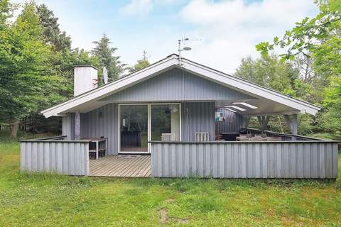 Ferienunterkunft in Ålbæk (5 Personen)