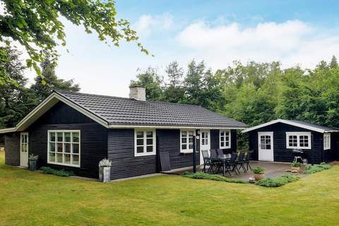 Ferienhaus in Hals (4 Personen)