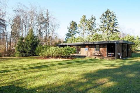 Ferienhaus in Nykbing Sj (4 Personen)