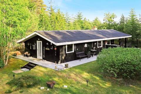 Ferienunterkunft in Ålbæk (6 Personen)