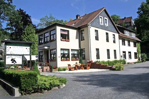 Ferienapartment Frosch in Wildemann Harz - Ferienunterkunft in Wildemann (2 Personen)