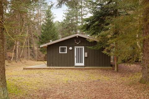 Ferienhaus in Store Fuglede (6 Personen)