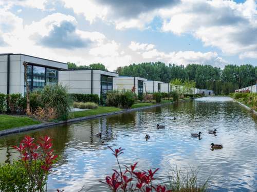 Ferienhaus Cube la Mer 4  in 
Velsen-Sd (Niederlande)