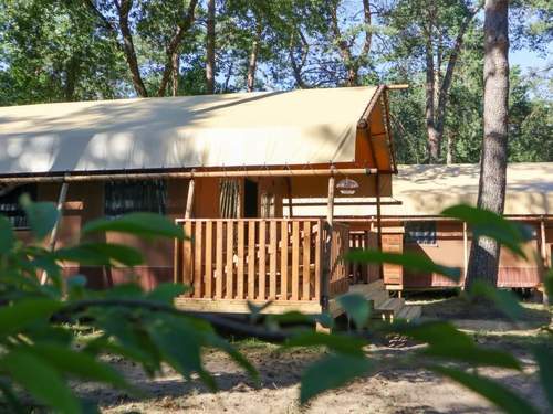 Ferienhaus Lodgetent 2  in 
Otterlo (Niederlande)