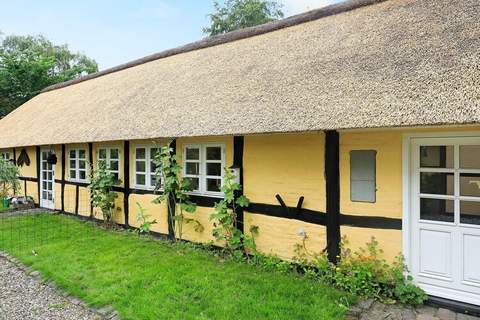 Ferienhaus in Asaa (4 Personen)