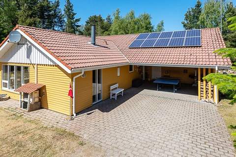 Ferienunterkunft in Højslev (10 Personen)