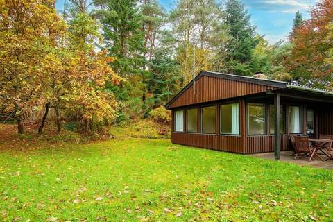 Ferienhaus in Silkeborg (4 Personen)