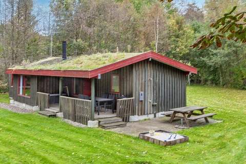 Ferienhaus in Læsø (6 Personen)