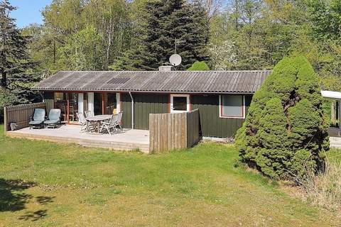 Ferienhaus in Læsø (6 Personen)