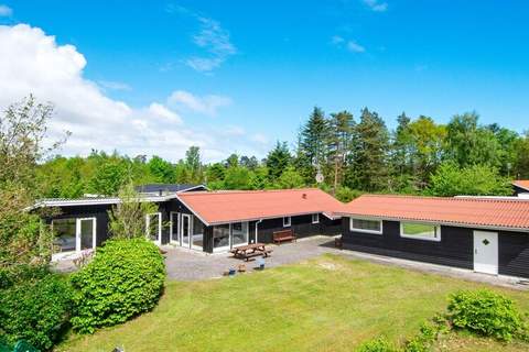 Ferienunterkunft in Ørsted (8 Personen)