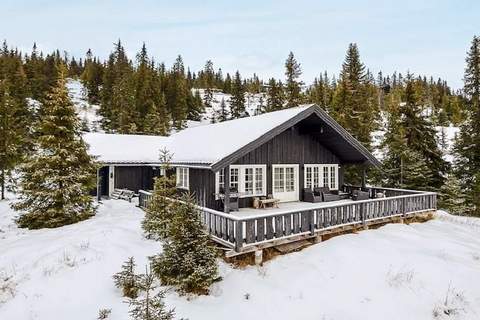 Ferienhaus in Fåvang (11 Personen)