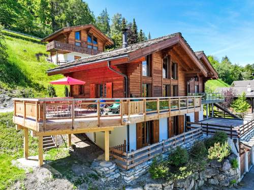 Ferienhaus, Chalet Sneachta  in 
Nendaz (Schweiz)