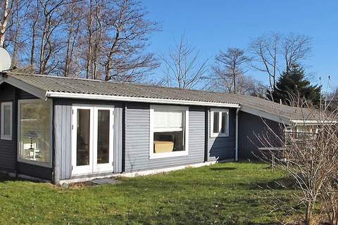 Ferienunterkunft in Stege (4 Personen)