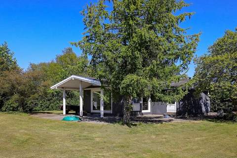 Ferienhaus in Tranekær (8 Personen)