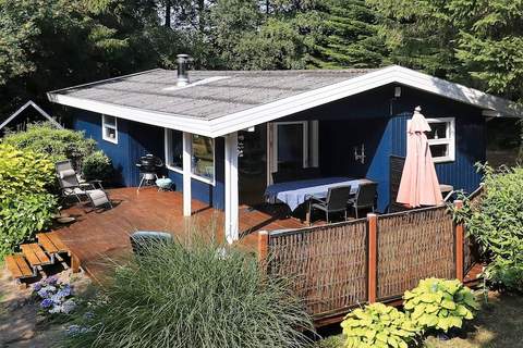 Ferienhaus in Tranekær (5 Personen)