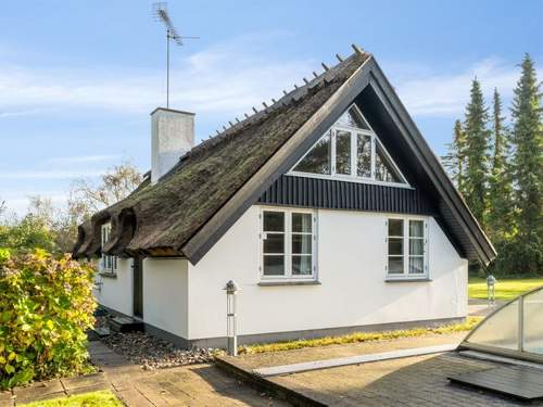Ferienhaus Emanuela - all inclusive - 800m from the sea  in 
Gilleleje (Dnemark)