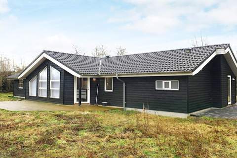 Ferienunterkunft in Fjerritslev (12 Personen)
