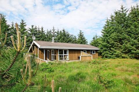 Ferienhaus in Fjerritslev (6 Personen)