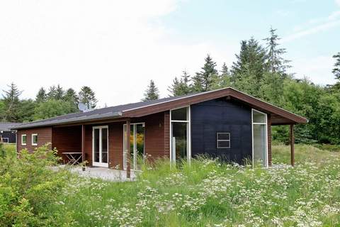 Ferienunterkunft in Fjerritslev (8 Personen)