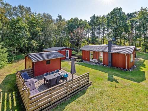 Ferienhaus Harthe - 800m from the sea