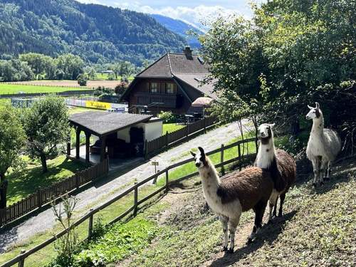 Ferienhaus Lama  in 
Niederwlz (sterreich)