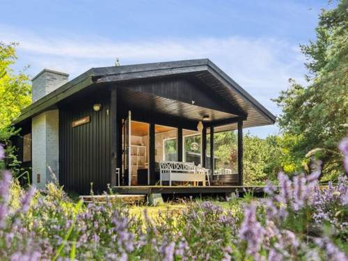 Ferienhaus Sofus - 500m from the sea