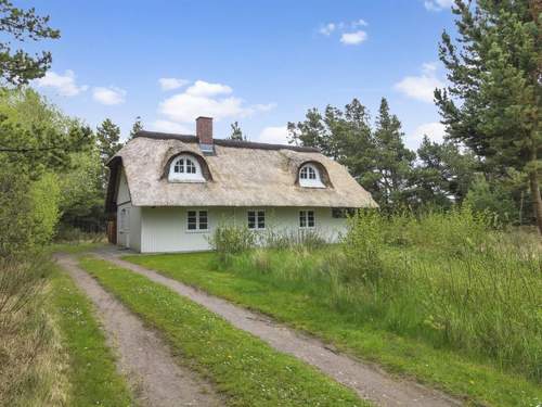 Ferienhaus Volmar - 3.5km from the sea in Western Jutland