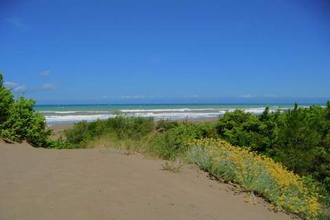 Pineta Iris - Ferienunterkunft in Marina di Castagneto Carducci  (4 Personen)