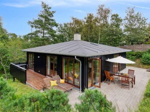 Ferienhaus Jonce - 250m from the sea in Sealand