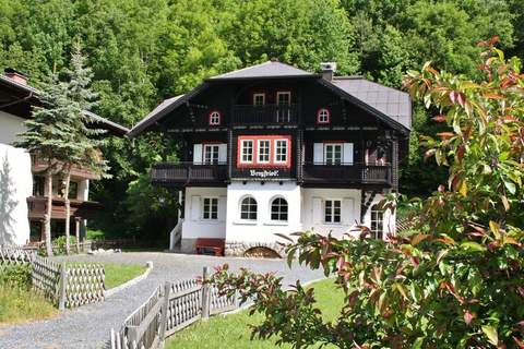 Villa Bergfried - Villa in Zell am See (14 Personen)