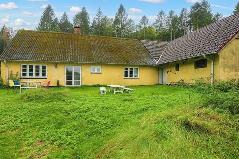 Ferienunterkunft in Skanderborg (5 Personen)