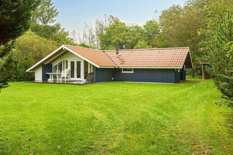 Ferienunterkunft in Fårvang (6 Personen)