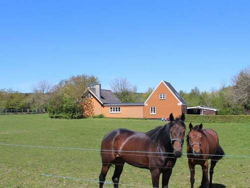 Ferienhaus Adrienne - all inclusive - 6.4km from the sea