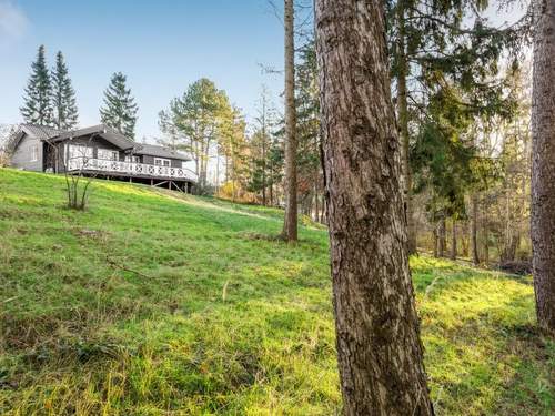 Ferienhaus Edla - all inclusive - 700m to the inlet  in 
Hundested (Dnemark)
