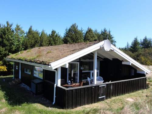 Ferienhaus Anthonia - 1.6km from the sea in NW Jutland