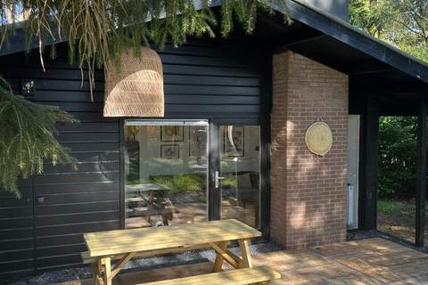 Dutch Cabin Houses 24 - Ferienunterkunft in Rheezerveen (4 Personen)