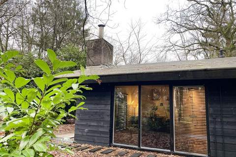 Dutch Cabin Houses 45 - Ferienhaus in Rheezerveen (4 Personen)