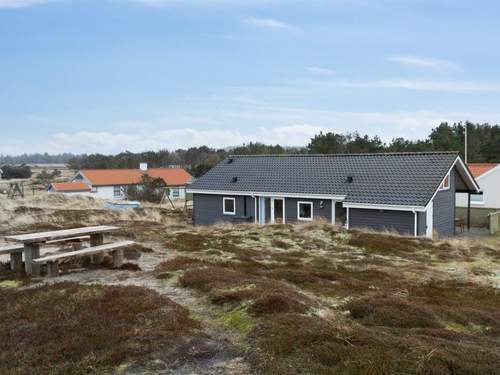 Ferienhaus Ani - all inclusive - 600m from the sea in NW Jutland  in 
Thisted (Dnemark)