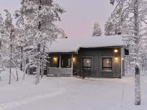 Ferienhaus Siilinhippu