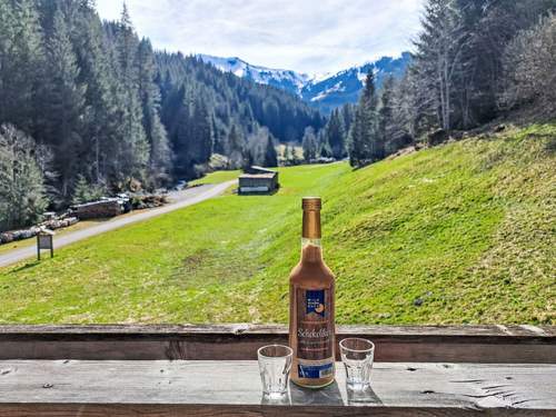 Ferienwohnung, Landhaus Apartment Almidylle  in 
Auffach (sterreich)