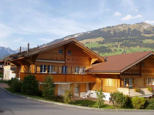 Ferienwohnung Hohliebestrasse 24  in 
Lenk (Schweiz)