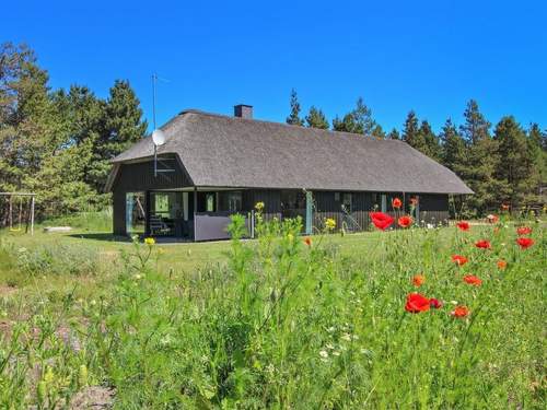 Ferienhaus Dix - all inclusive - 900m from the sea in Western Jutland